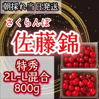 さくらんぼ【佐藤錦】特秀品　2L-L混合　たっぷり800g