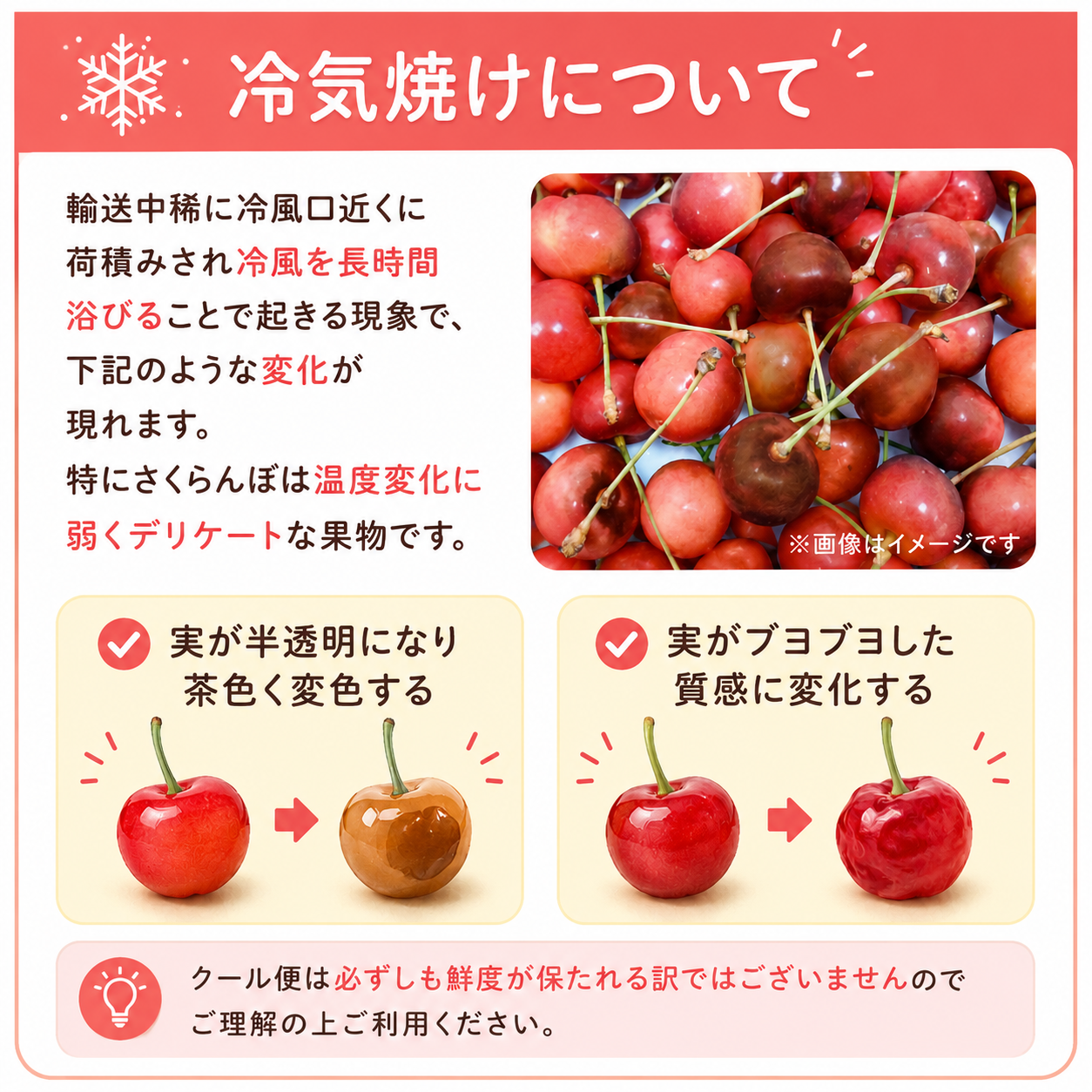 クール便発送追加料金 | SmileFarm公式SHOP