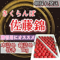 さくらんぼ【佐藤錦】特秀品　鏡詰め