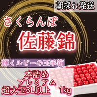 さくらんぼ【佐藤錦】特秀品　3L以上本詰めプレミアムチェリー