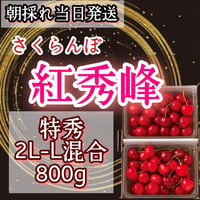 さくらんぼ【紅秀峰】特秀　2L-L混合　800g