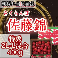 さくらんぼ【佐藤錦】特秀品　2L-L混合　食べきり400g