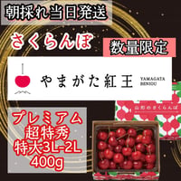 さくらんぼ【やまがた紅王】超特秀品　特大3L-2L混合　食べきり400g