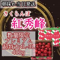 さくらんぼ【紅秀峰】プレミアム超特大4L-3L混合　400g