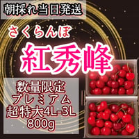 さくらんぼ【紅秀峰】プレミアム超特大4L-3L混合 800g