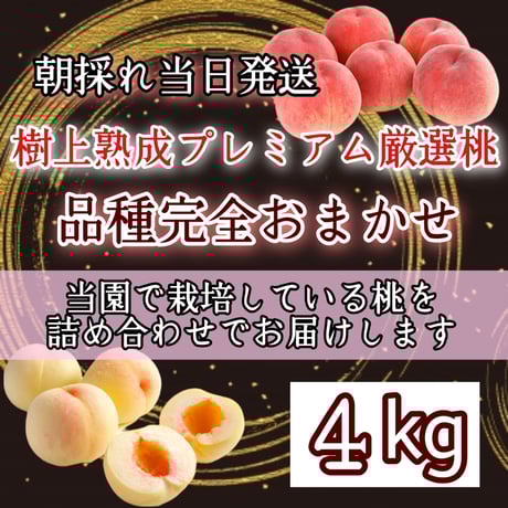 CocoRo♡farm 大玉!ワッサーのような桃（美郷）8kg CocoRo♡farm 大玉!ワッサーのような桃（美郷）8kg 2025年最新