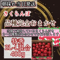 さくらんぼ【品種完全おまかせ】特秀品　2L-L混合　食べきり400g