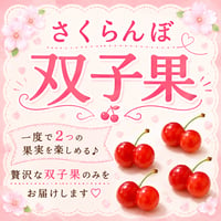 一度で2つの果実を楽しめる♪【双子果さくらんぼ】