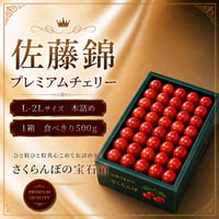 プレミアムさくらんぼ【佐藤錦】特秀品　本詰めプレミアムチェリー【500g】