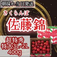 さくらんぼ【佐藤錦】特秀品　特大3L-2L混合　食べきり400g