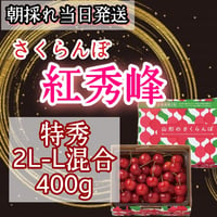 さくらんぼ【紅秀峰】特秀　2L-L混合　食べきり400g