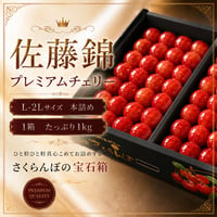 プレミアムさくらんぼ【佐藤錦】特秀品　本詰めプレミアムチェリー【1kg】