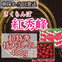 さくらんぼ【紅秀峰】特秀　3L-2L混合　食べきり400g
