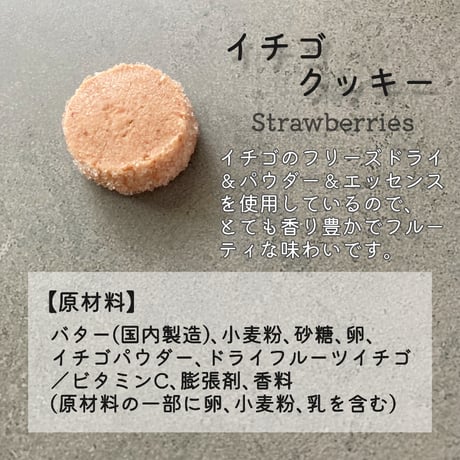 セレクトクッキーA（ココナッツ・チョコチップ・イチゴ・チュイル）/ ポスト便（送料無料※一部地域対象外）