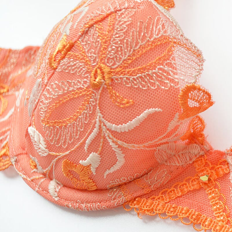 LA VIE A DEUX ラヴィアドゥ ラメチュールレース ブラジャー（オレンジ