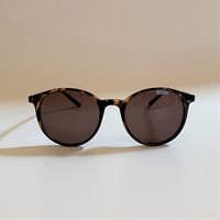 5045　Demi / Brownレンズ