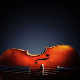 Koike Strings Shop