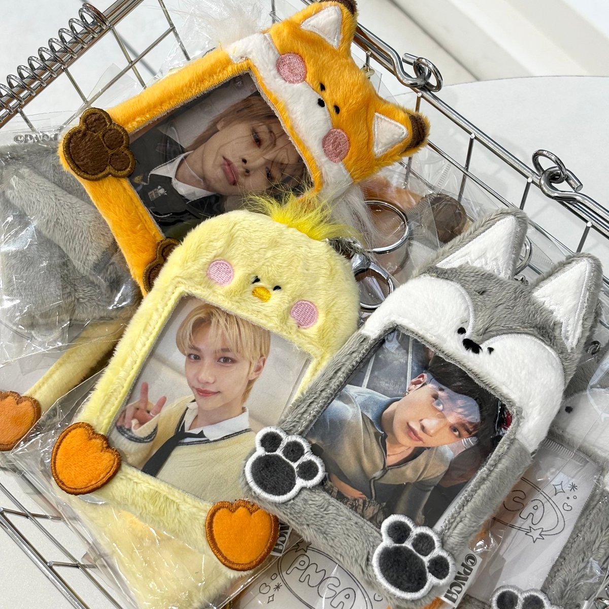 【新品未開封】PNCA オオカミ ペンラカバー トレカホルダー セット 再入荷情報📢 本日10/26(土)より心斎橋店にてオオカミトレカ