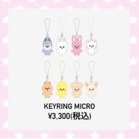 Stray Kids SKZ 5'CLOCK MD【SKZOO KEYRING MICRO】