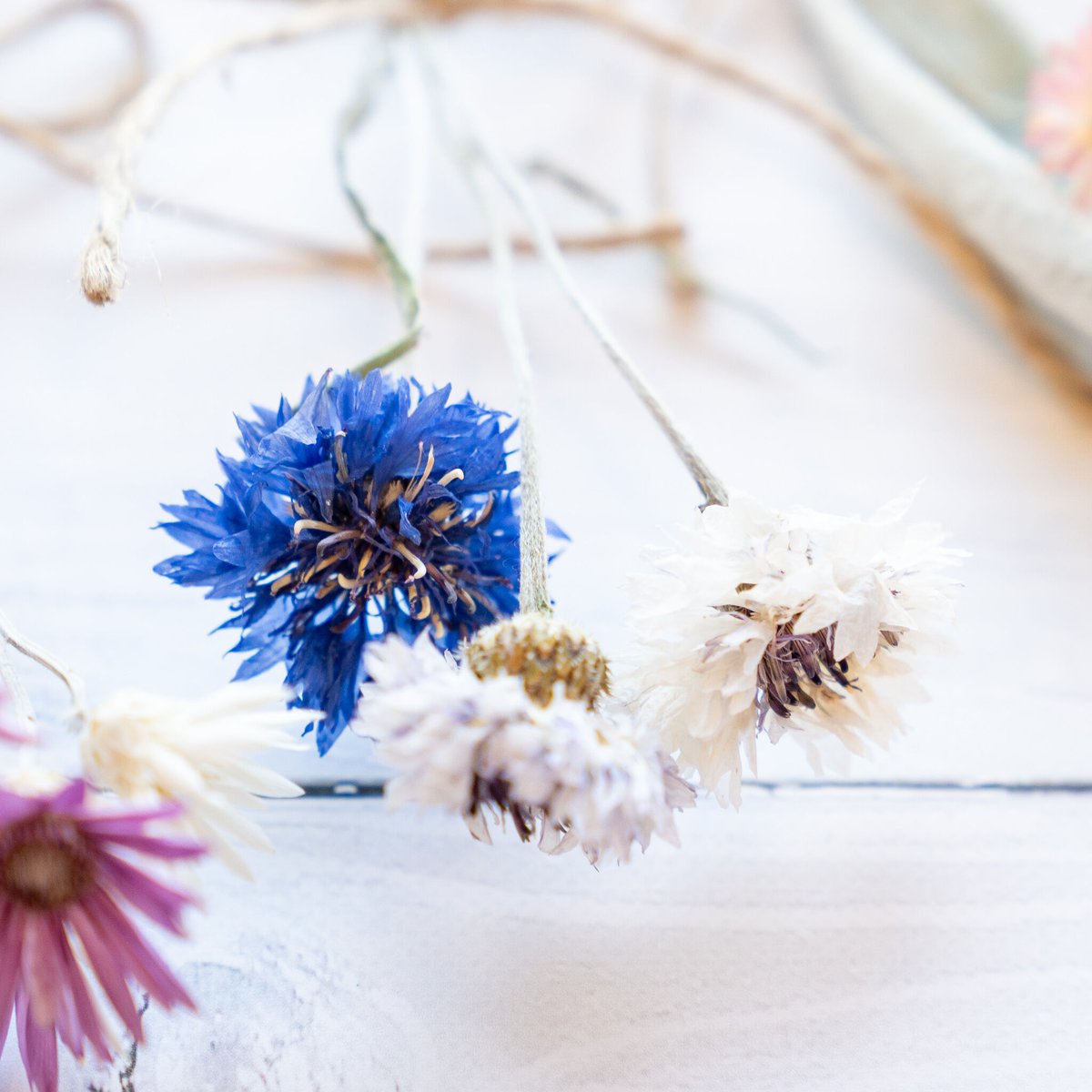 可愛いドライフラワーガーランド ドライフラワーガーランド ドライフラワー ruru〜✩.*˚ 通販