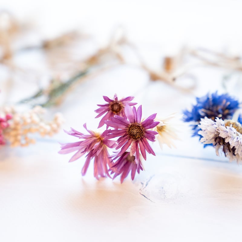 ハーブ入り ドライフラワー ガーランド no.8 | Yu and Naomi