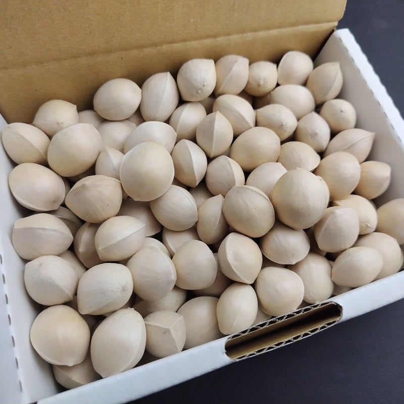 銀杏(ぎんなん) 3000g 3kg Mサイズ 銀杏(ぎんなん) 3000g 3kg Mサイズ