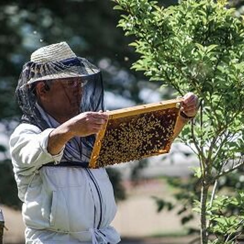 百花蜜(純国産はちみつ)600g | Farm Sadamitsu 百花蜜(純国産はちみつ)600g | Farm Sadamitsu