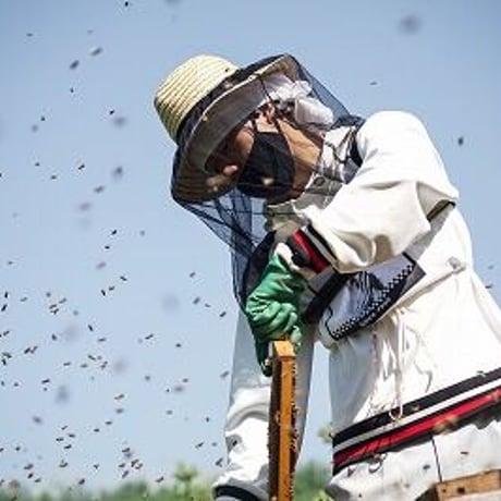 れんげ蜜(純国産レンゲはちみつ）180ｇ・百花蜜(純国産はちみつ）180ｇ　2本セット(化粧箱入り）