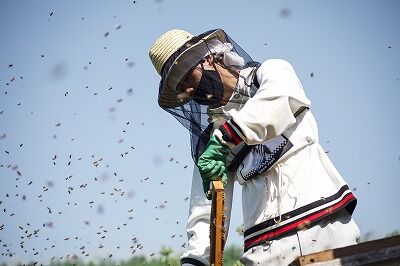 れんげ蜜(純国産レンゲはちみつ）180g・百花蜜(純国産はちみつ）180g