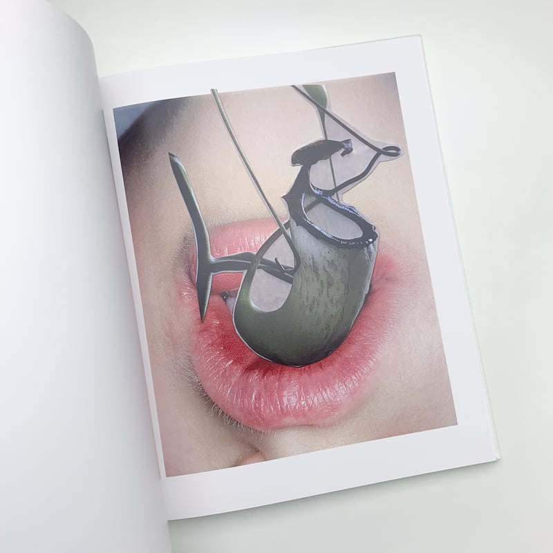 of viviane sassen mud and lotus サイン入り Of Mud and Lotus｜Viviane Sassen | 玄玄書林