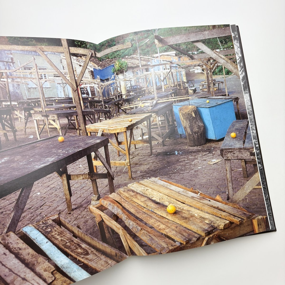 Gabriel Orozco Photogravity アートブック Gabriel Orozco | Marian