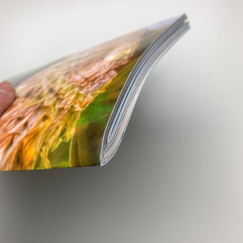 Peter Fischli David Weiss: Musee d'Art Moderne