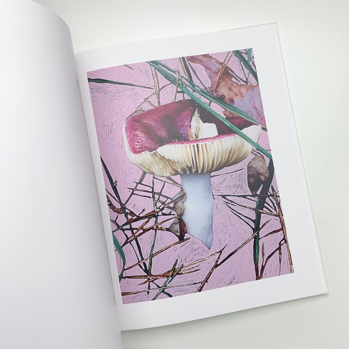 of viviane sassen mud and lotus サイン入り of viviane sassen mud and lotus サイン入り