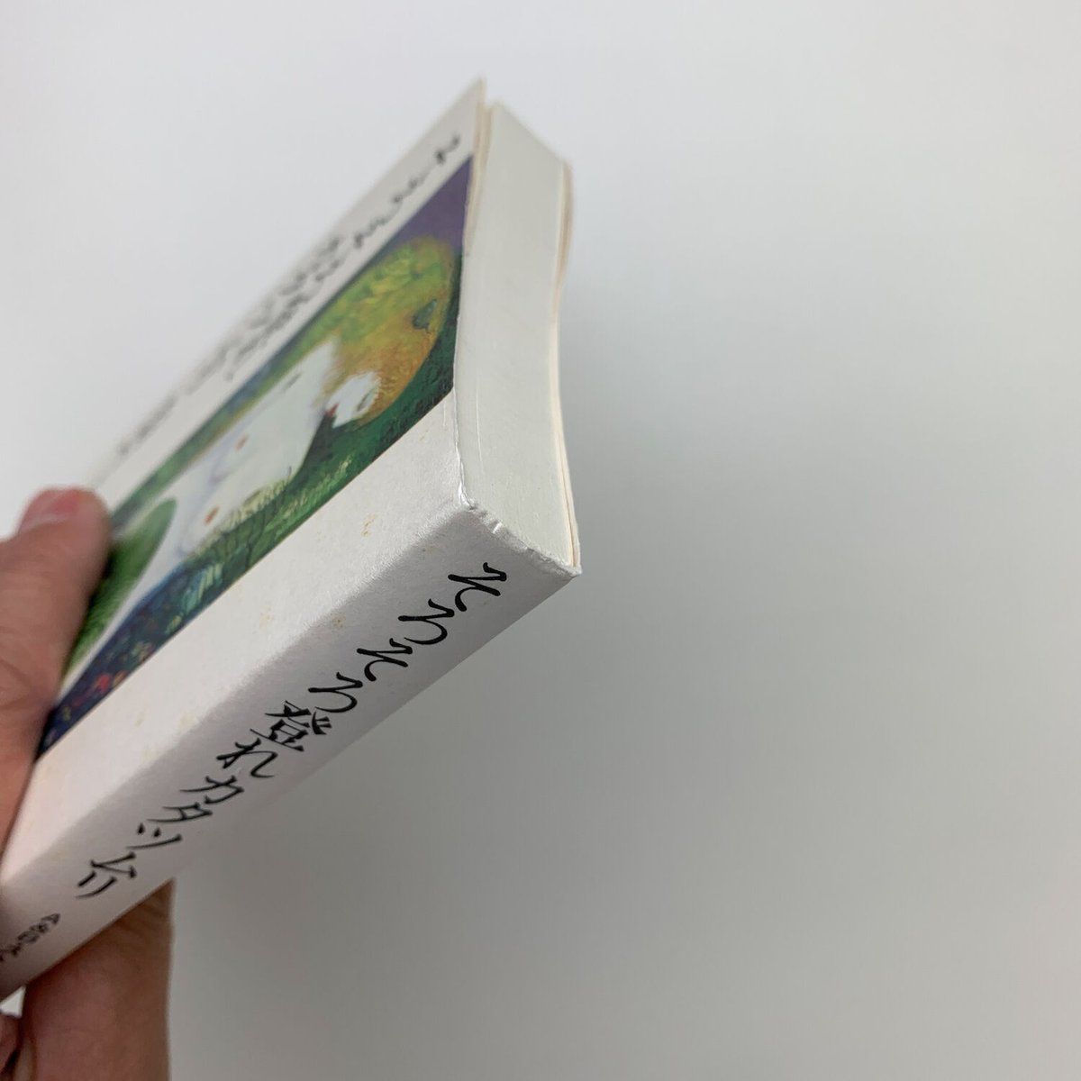 そろそろ登れカタツムリ｜A&B・ストルガツキイ | 玄玄書林