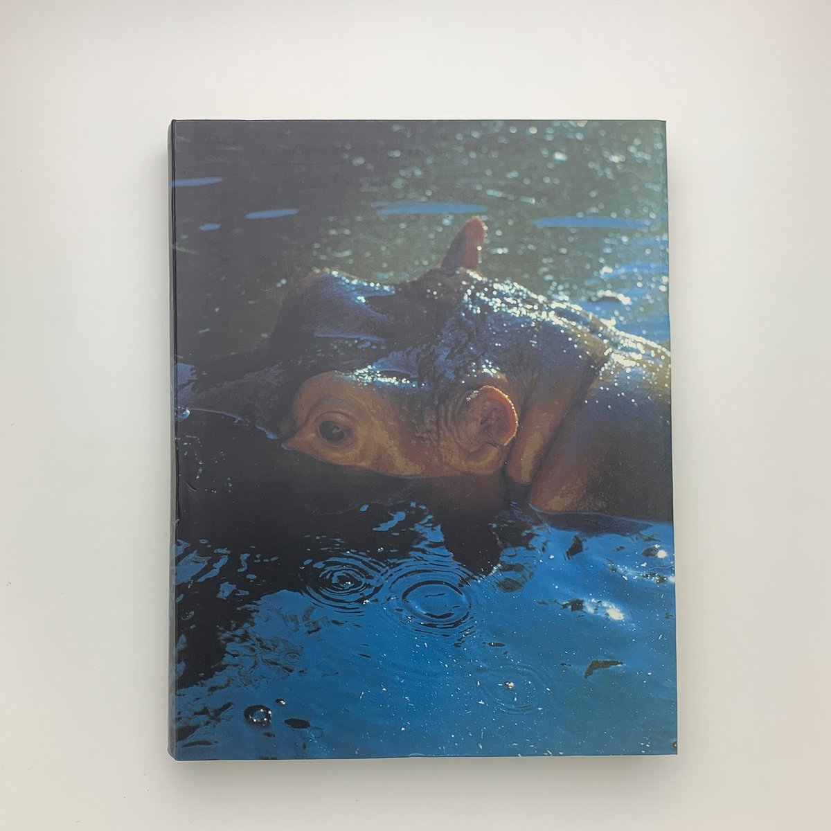 Peter Fischli David Weiss 作品集 SICHTBARE WELT: Peter Fischli David Weiss | 玄玄書林