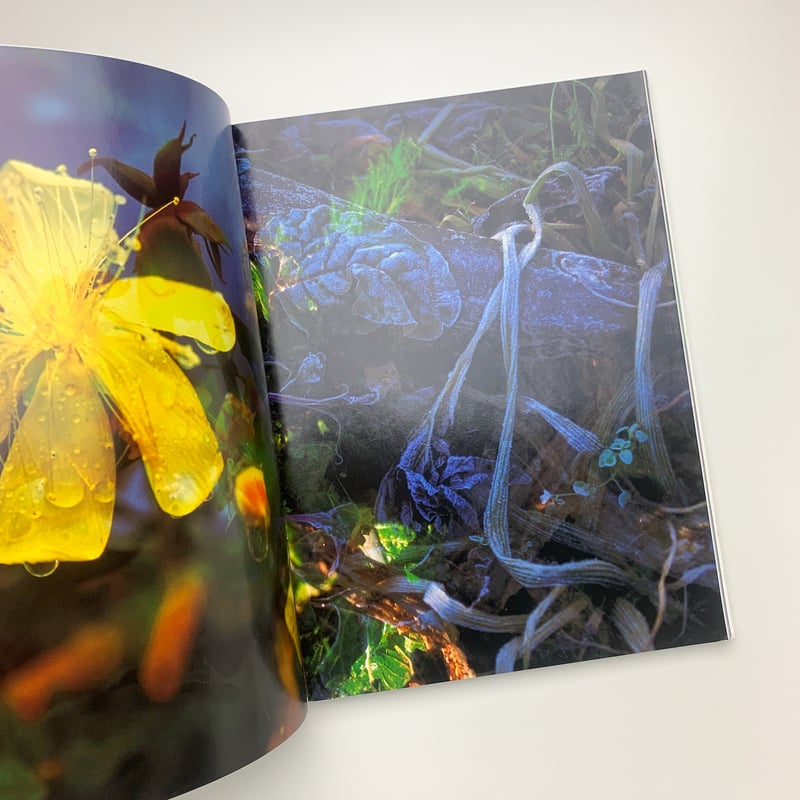 Peter Fischli David Weiss: Musee d'Art Moderne