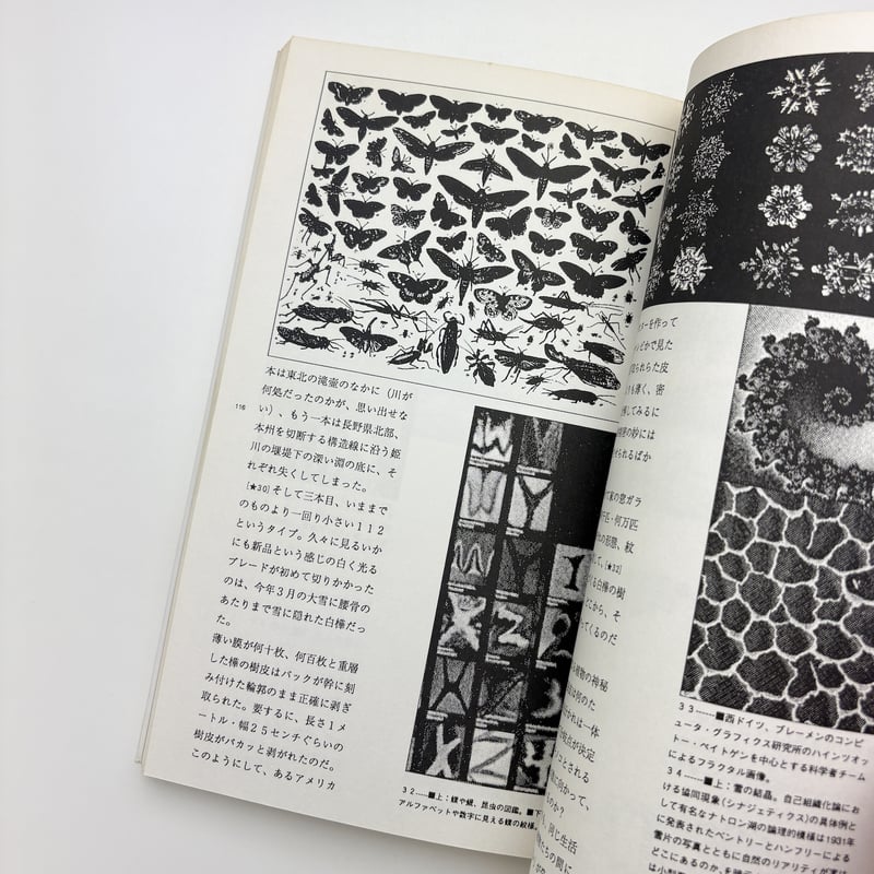 森の書物｜戸田ツトム | 玄玄書林