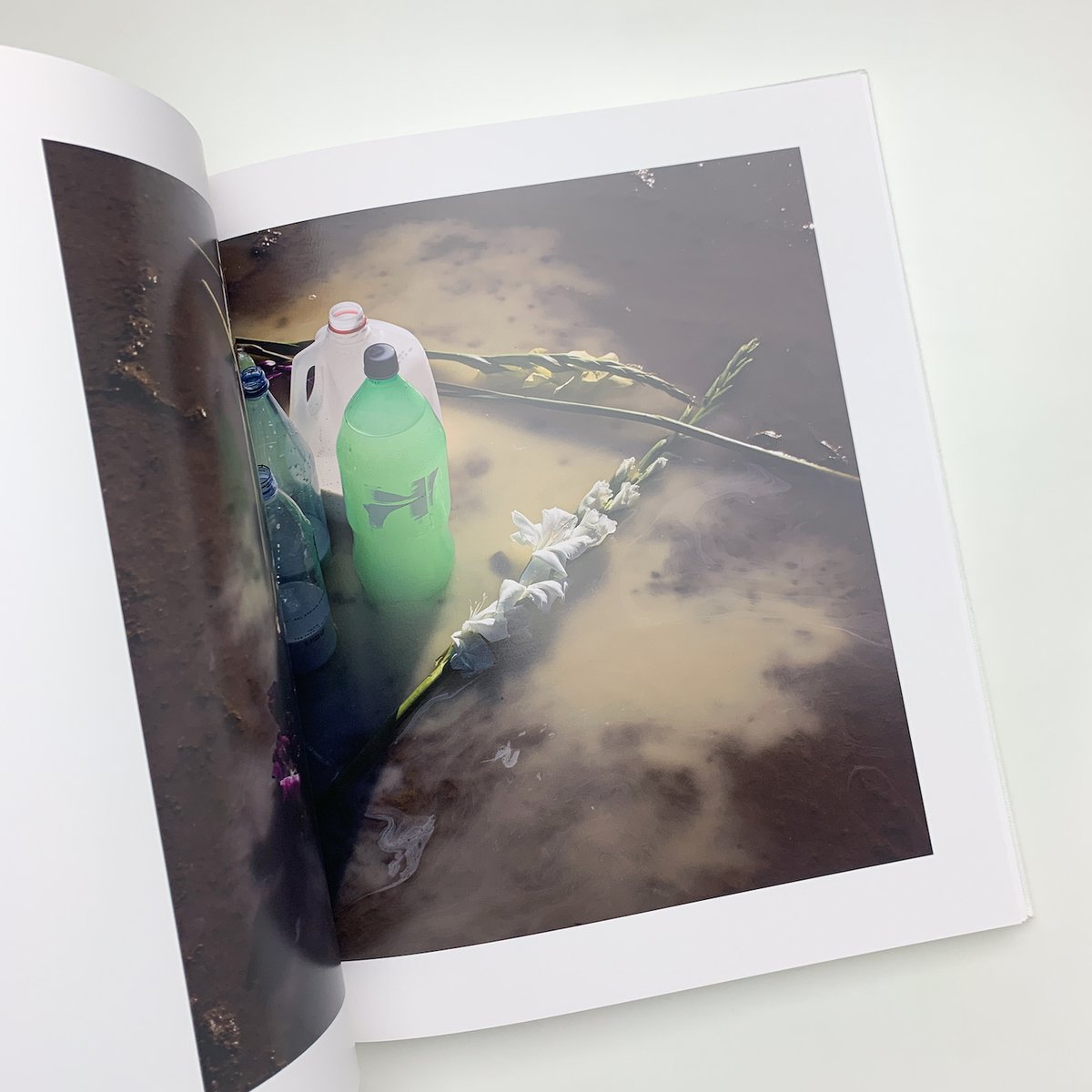 of viviane sassen mud and lotus サイン入り of viviane sassen