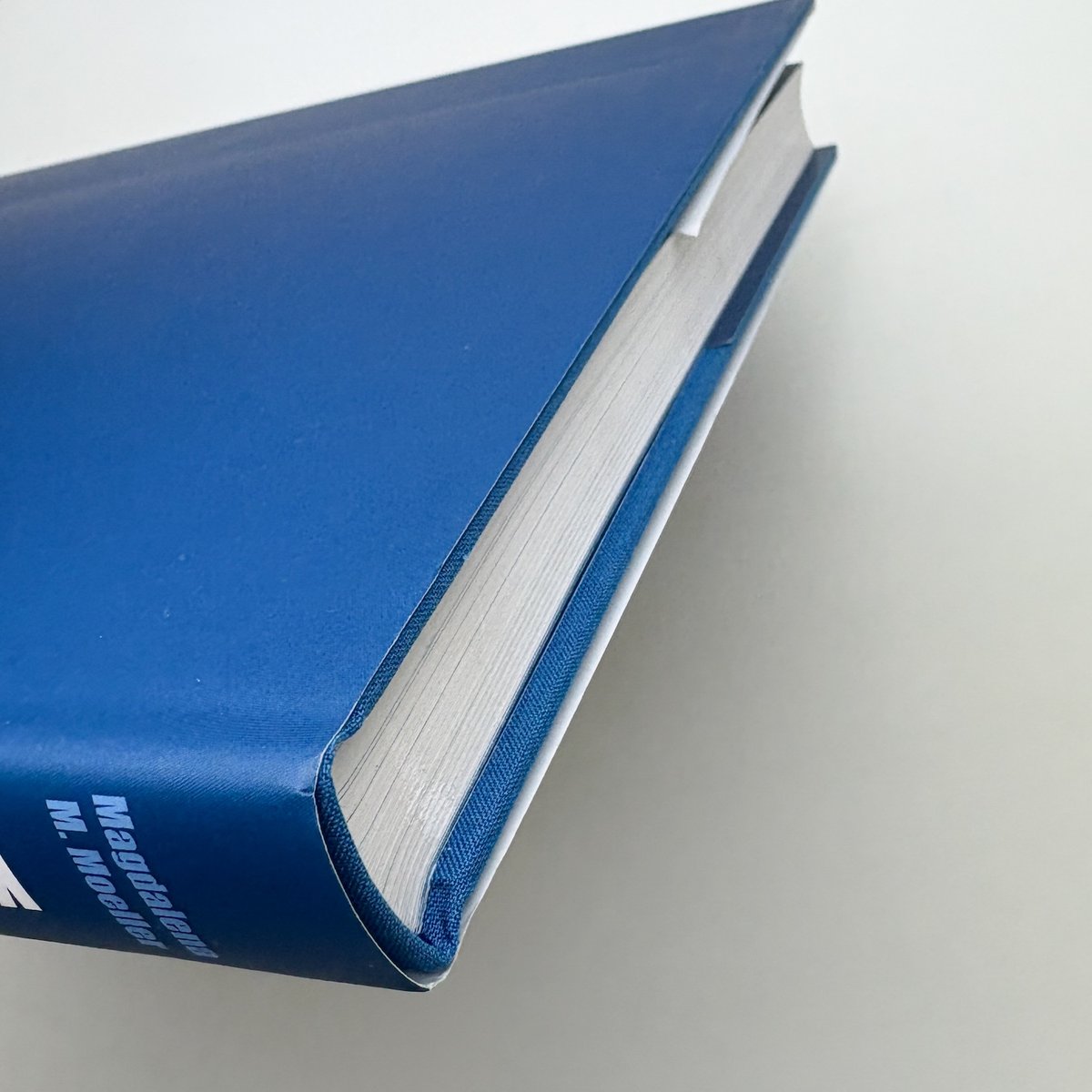 Karl Schmidt-Rottluff: Eine Monographie | 玄玄書林