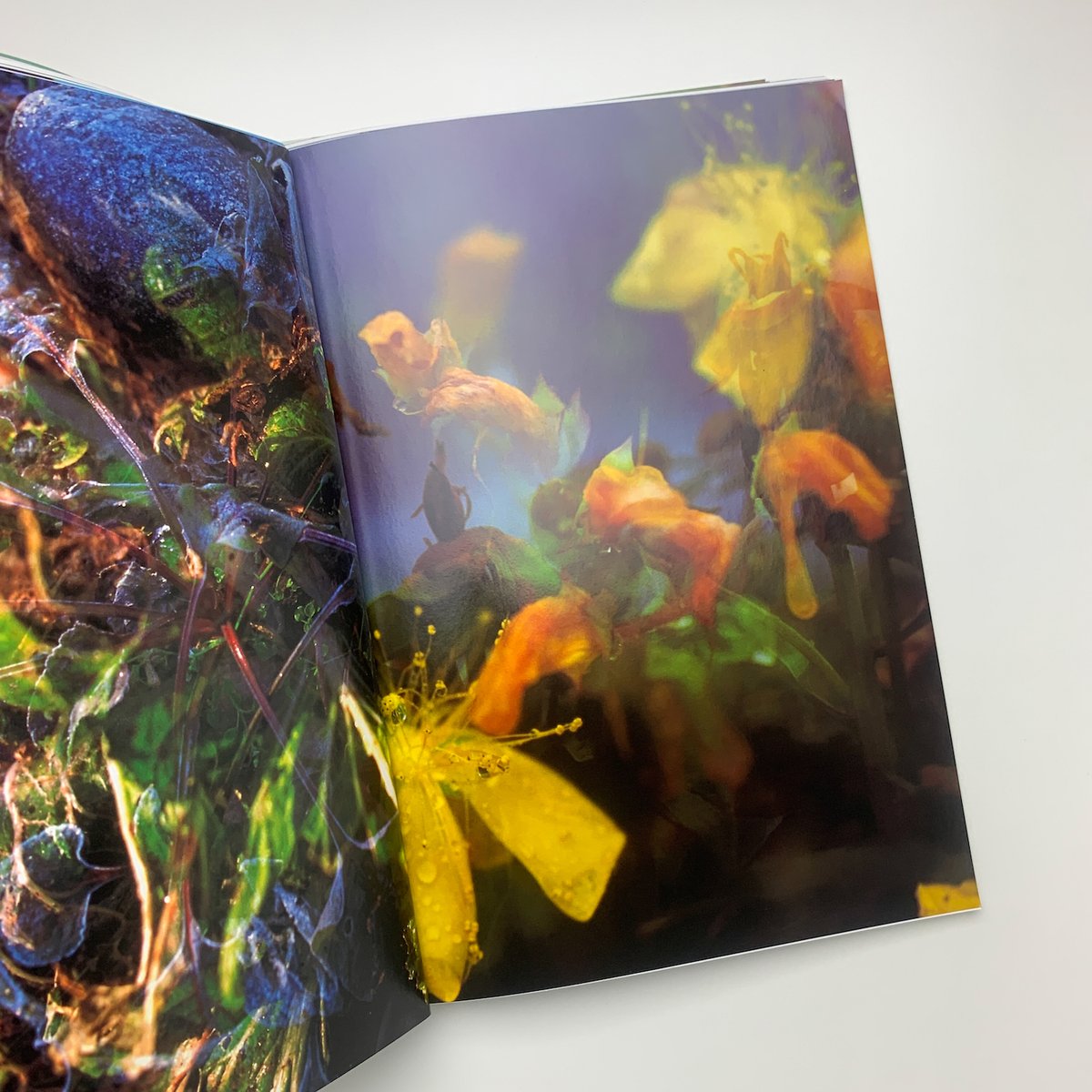 Peter Fischli David Weiss: Musee d'Art Moderne