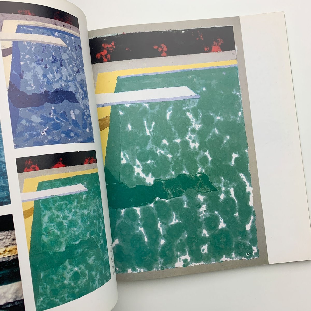 限定版】デイビッド・ホックニー Paper Pools サイン入 ハードカバー