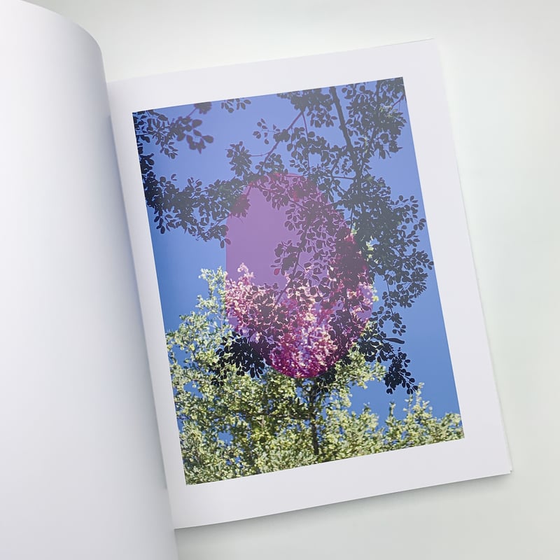 Of Mud and Lotus｜Viviane Sassen | 玄玄書林