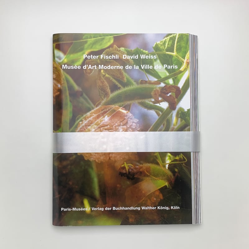 Peter Fischli David Weiss: Musee d'Art Moderne