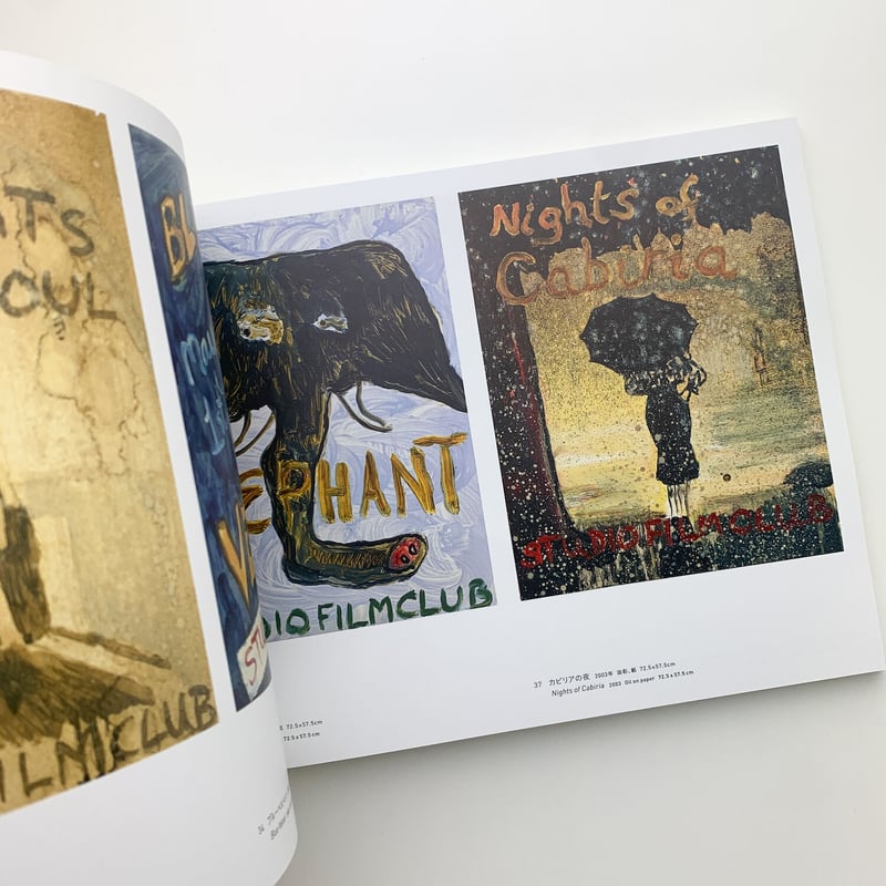 特別版 PeterDoig 大型本 ART 画集 絵画 芸術 ピーター・ドイグ