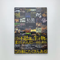 OUTSIDE IN｜Stephen Gill | 玄玄書林