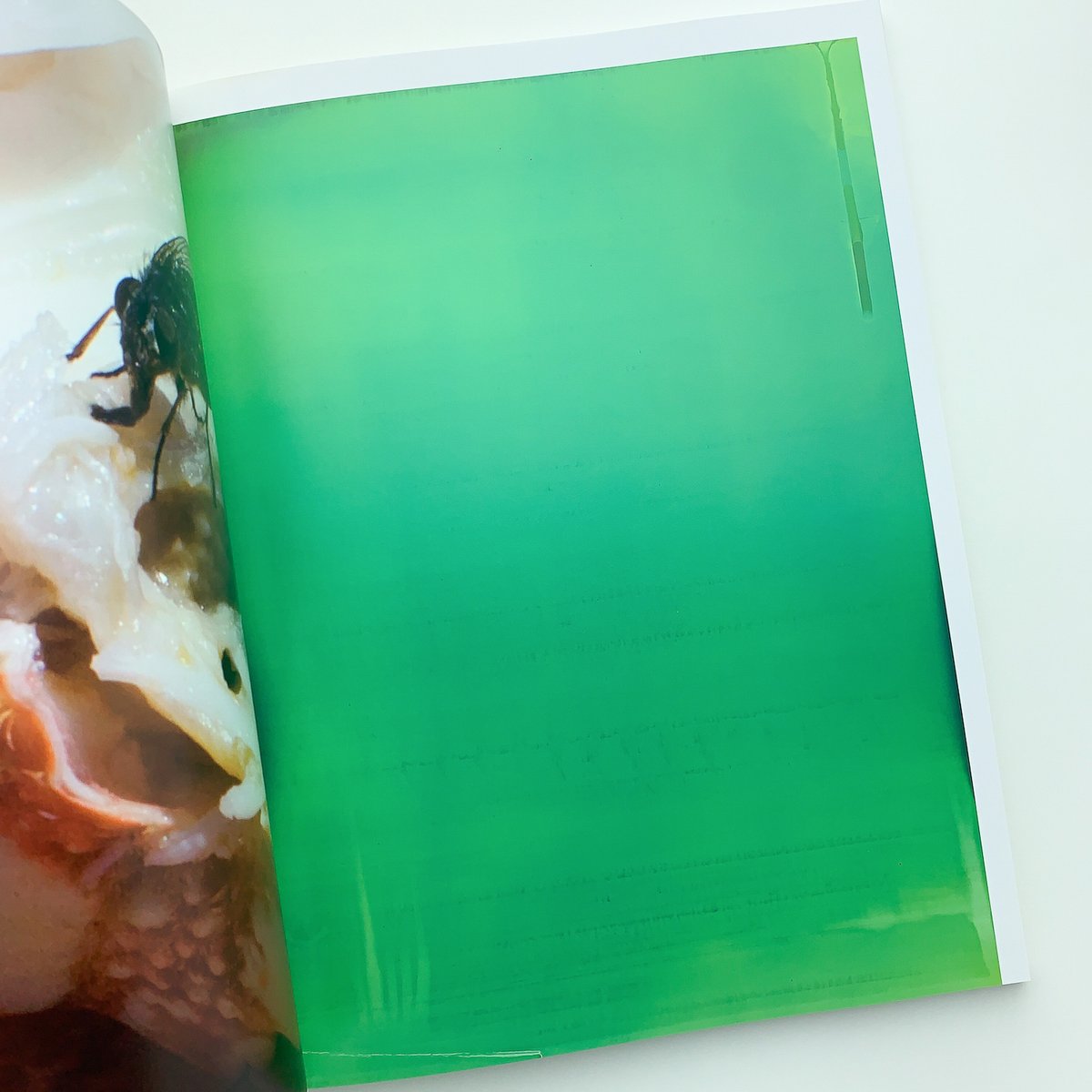 YOUR BODY IS YOURS / ヴォルフガング・ティルマンス YOUR BODY IS YOURS / Wolfgang Tillmans ヴォルフガング