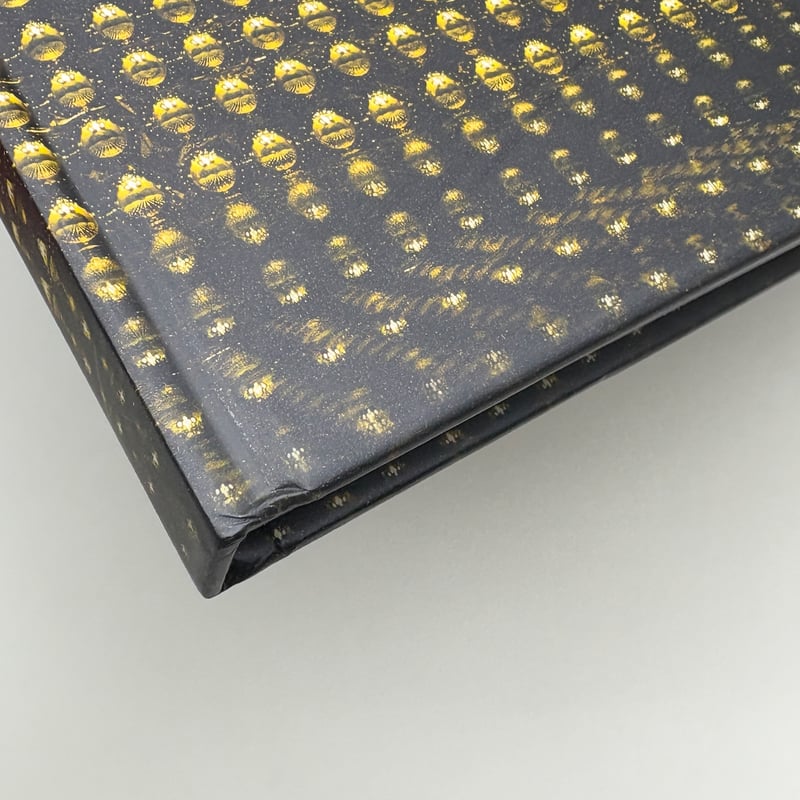 ANDREAS GURSKY 作品集 VISUAL SPACES OF TODAY by Andreas Gursky – twelvebooks