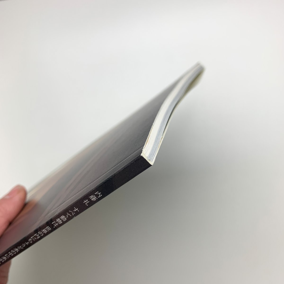 内藤礼  すべて動物は、世界の内にちょうど水の中に水があるように存在している 古書古本 Totodo: 内藤礼―すべて動物は、世界の内にちょうど水の