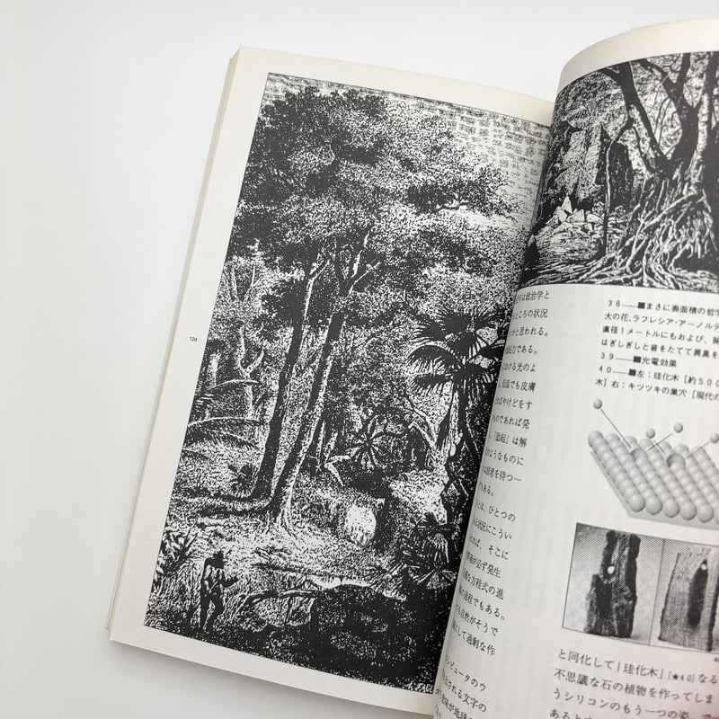 森の書物｜戸田ツトム | 玄玄書林