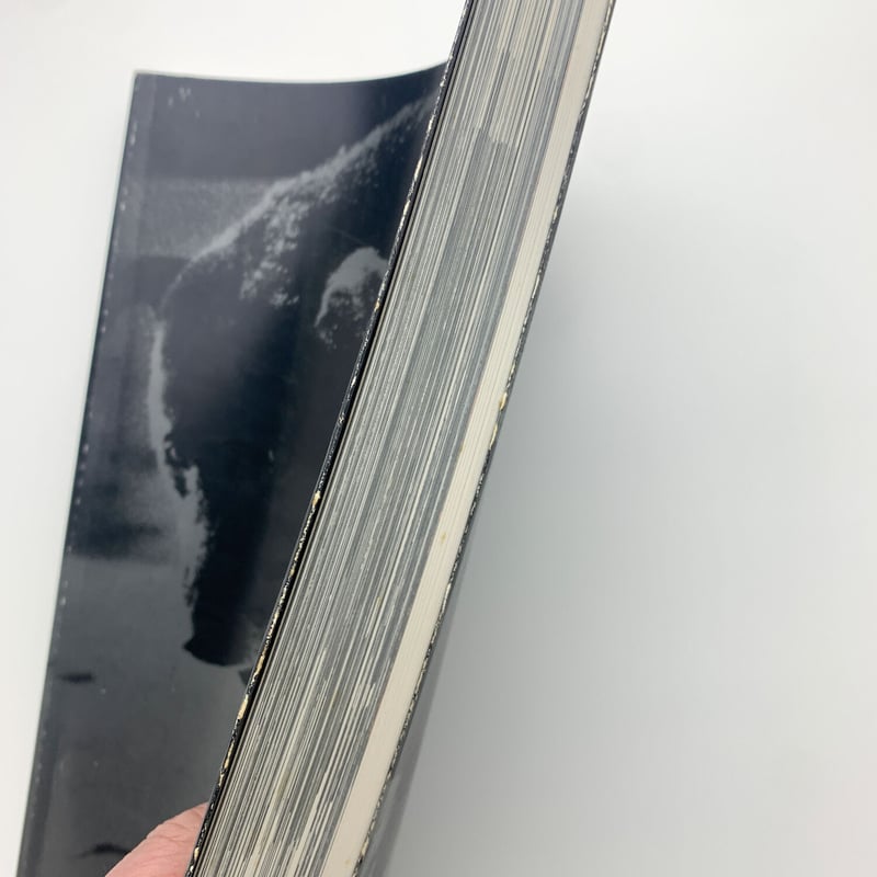 光の狩人 森山大道 1965-2003 | 玄玄書林